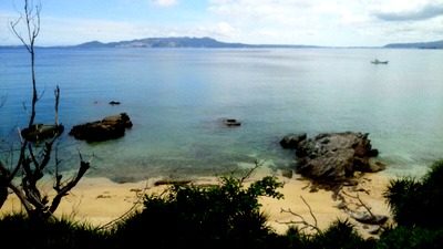 55ef80a1254d396349eb95055895ebb7