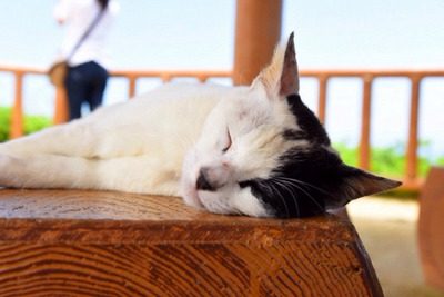 707761f62e4df043b9ad2389e96913a1