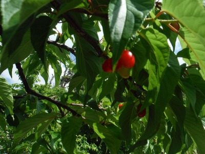 4e56d91da1e471488eadd353ebc3b3eb