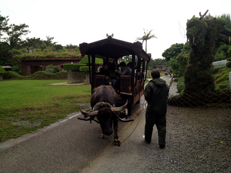 640x480xb8c862cd392d23f5034b4698 (19)