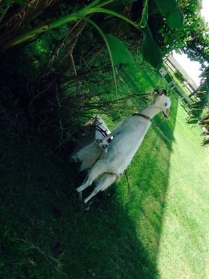 ce7039e9b7bdd0b09d37bd57e3fa1ff3