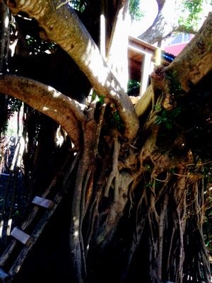 e920d4af003d8fc15694b259b390bc9b