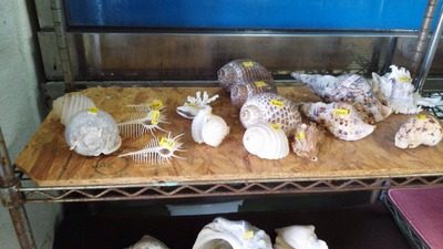 0346a873c3643b182899419e95f03343