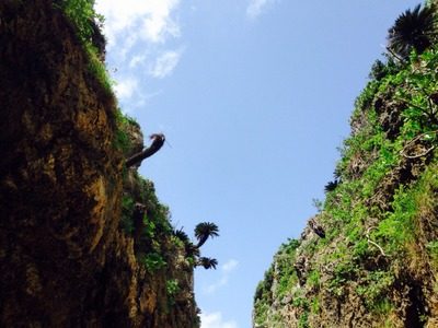 1-114acd822c30c47e1aed9f040a32a3dc