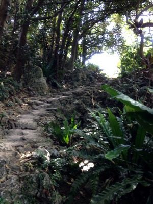 1-2fbdeaa8ea1612362666ea671b4defcb