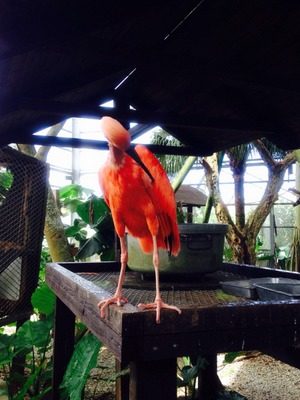 1-7b96f78604fae4e8fada40ea78bc04e2