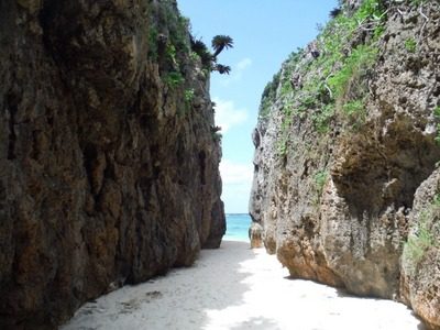 1-c6e701701f63cb09cfd321ca21694208