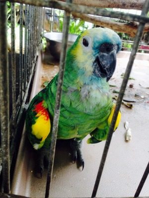 1-d58e408d61023fb93d63c6af7d618576