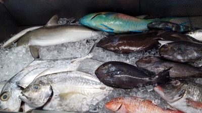 9486b93bbb76ca0948313cf87a865991